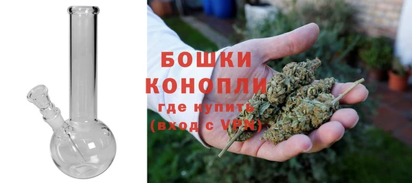 прущие грибы Белоозёрский